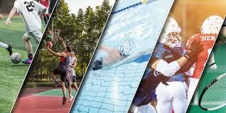 日本职棒：北海道日本火腿斗士宣布 2026 赛季将全面升级主场的 5G 智慧导览系统