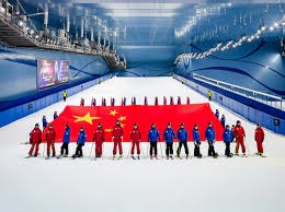 铃木诚也赛季表现回顾