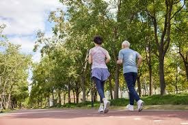 亚利桑那响尾蛇队主场屋顶因机械故障，2025 赛季多次处于开启状态