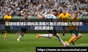 手是否
